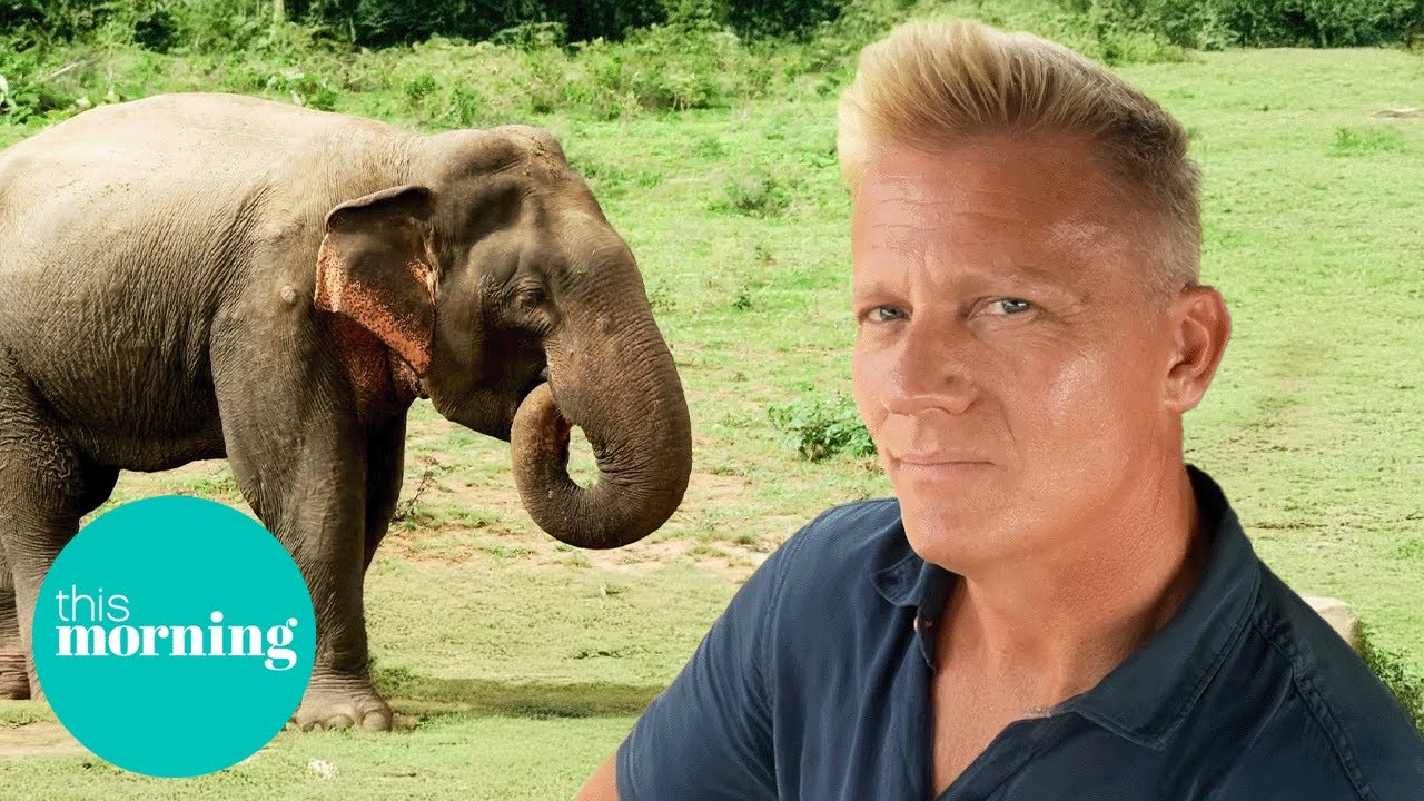 Dr. Scott's Sri Lankan Safari: The Search for Asian Elephants! | This Morning