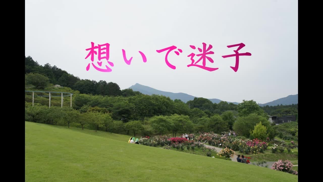 想いで迷子  八代亜紀