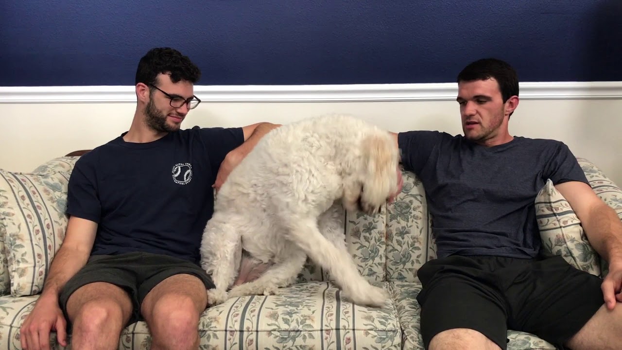 Jon Jon Update 2018