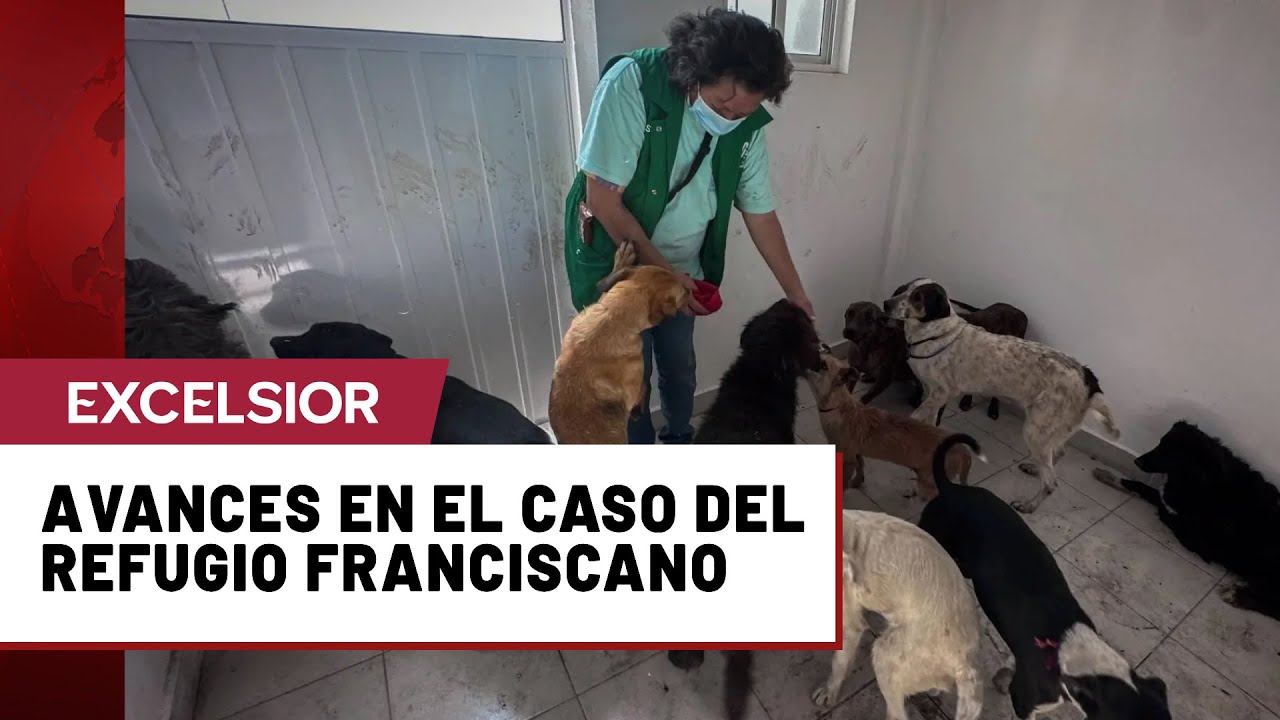 Gobierno de CDMX permite que integrantes del Refugio Franciscano visiten a los animales reubicados