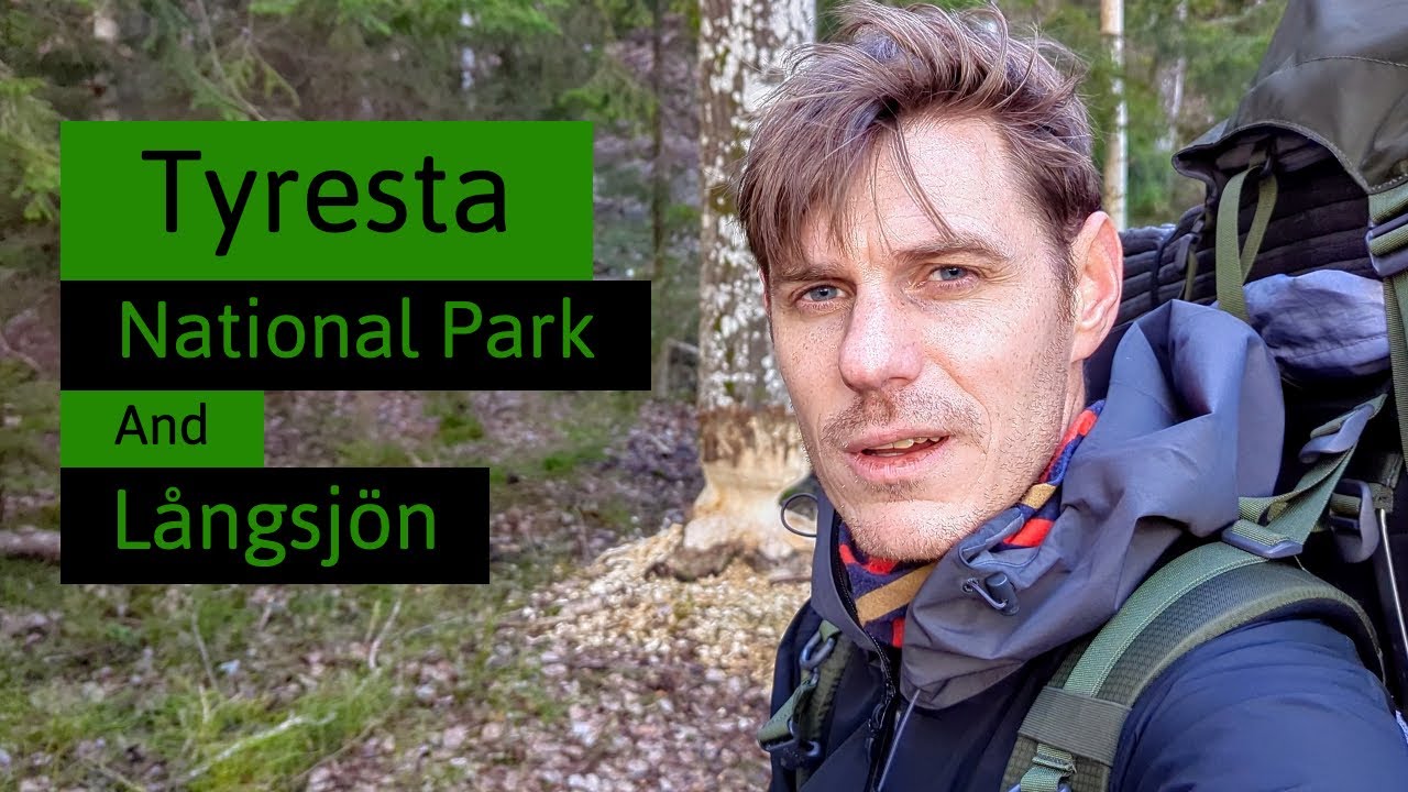 Winter Hike in Tyresta National Park