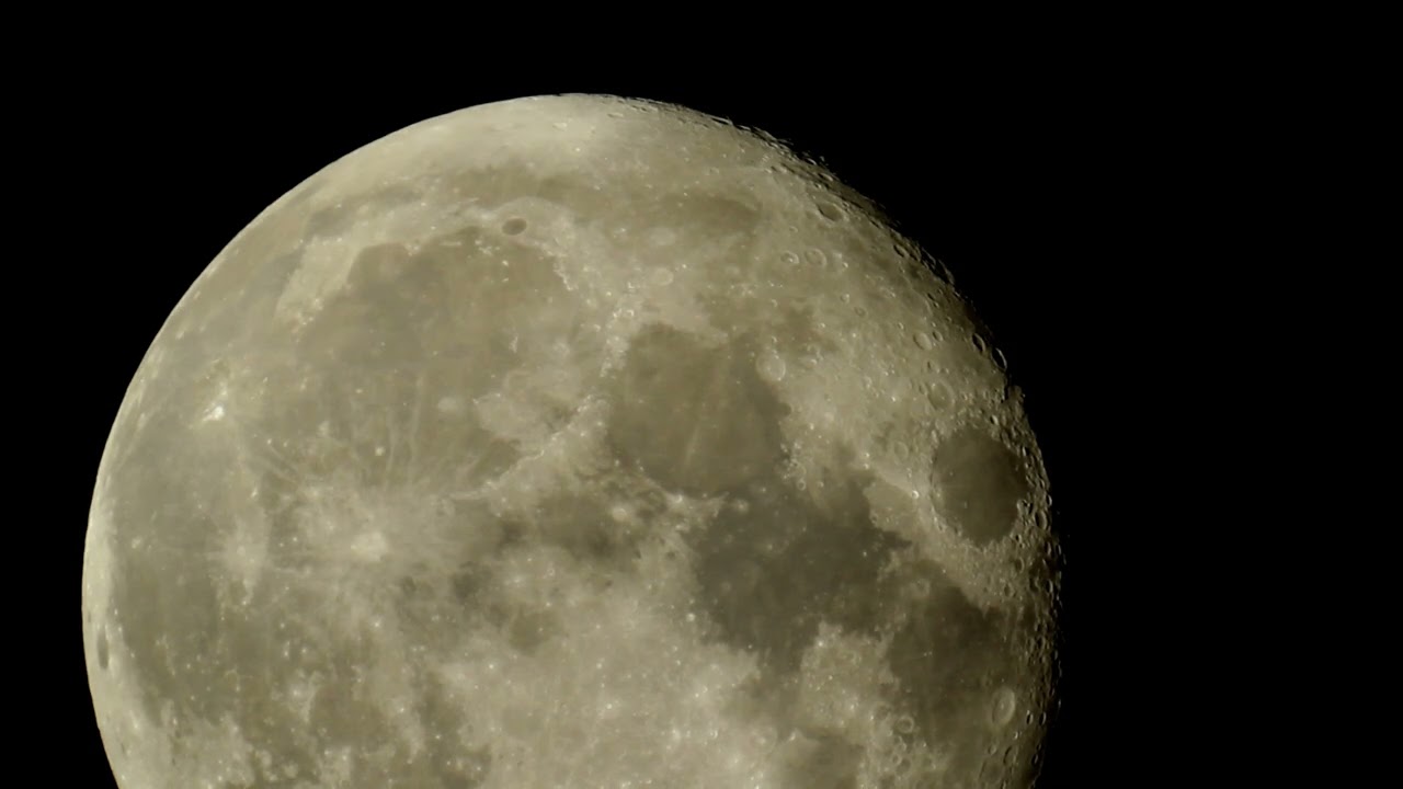 Tawny owls calling while filming the Moon.