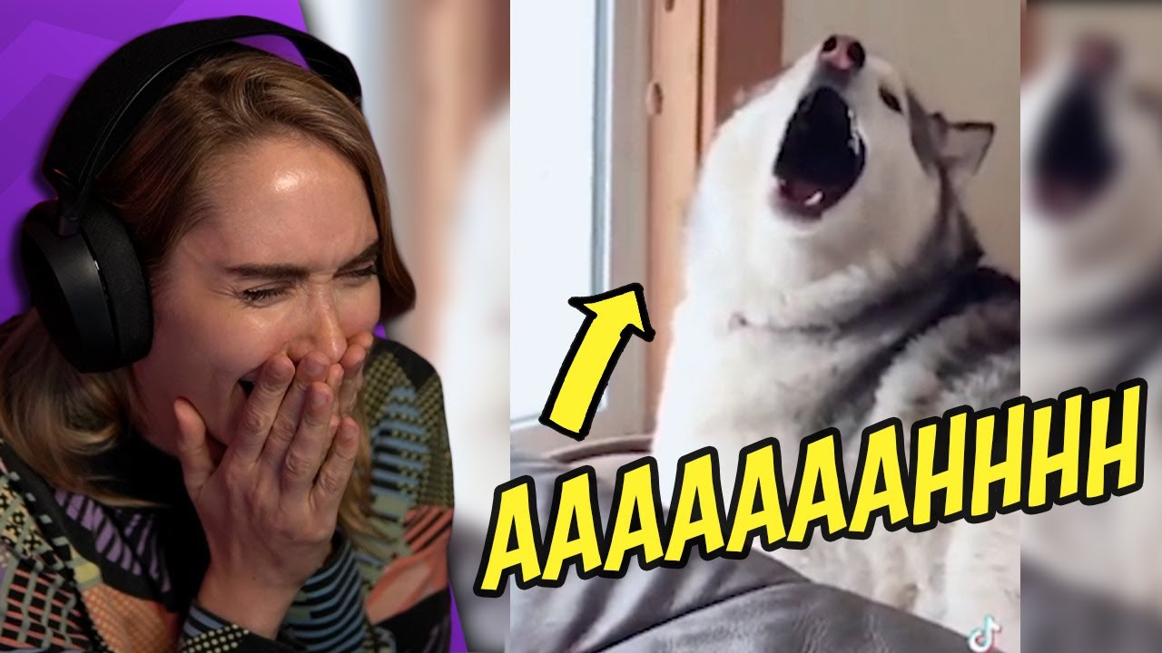 GUARANTEED to make you laugh