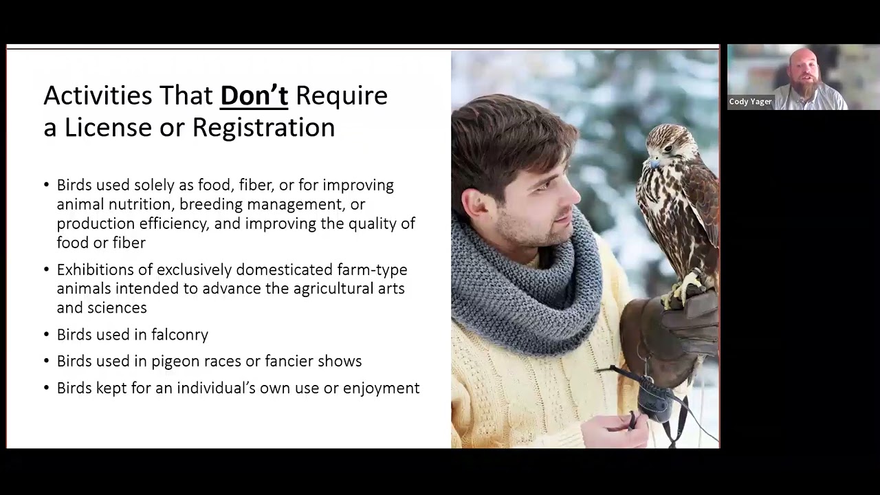 Overview of the USDA Inspection Process