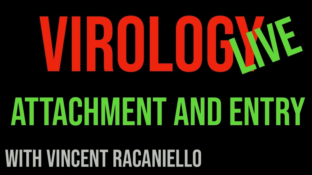 Virology Live #5: Attachment and Entry