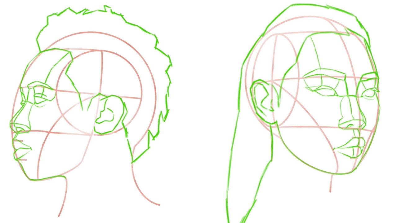 How to Place Facial Features on a Loomis Head | A Beginners Guide