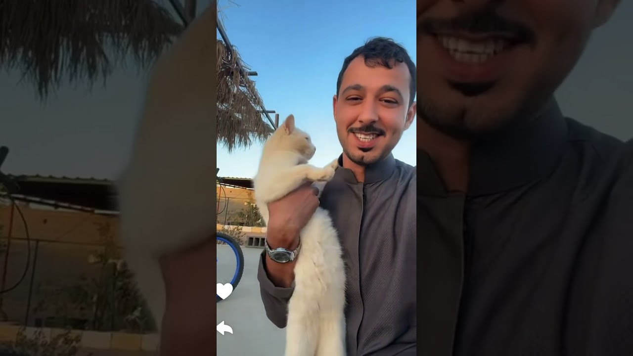 الرومي راقد على بيض النعام / سنابات ابو ناصر 