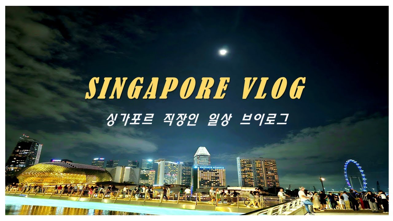 싱가포르 직장인 일상 :: 에스플라나드 공연, 토스트박스, 뉴튼 호커센터, 스벅에서 파이 먹기, 오차드도서관