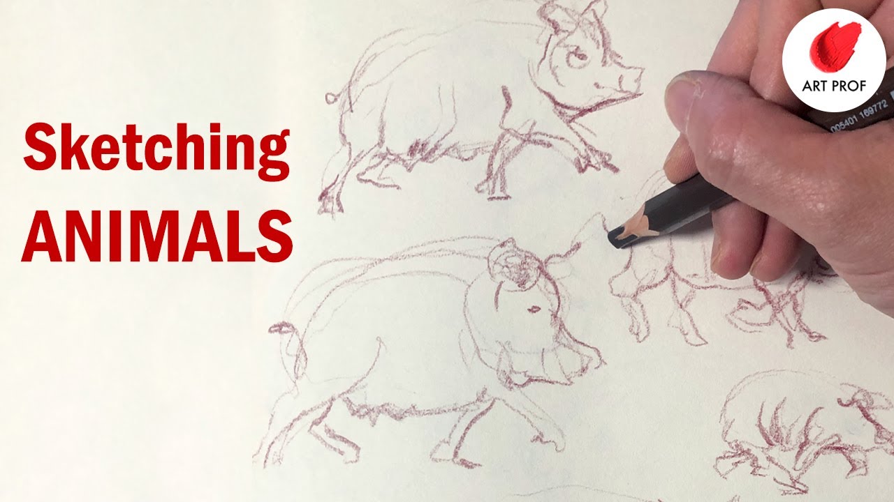 Best Gesture Drawing Exercise: Sketching Animals
