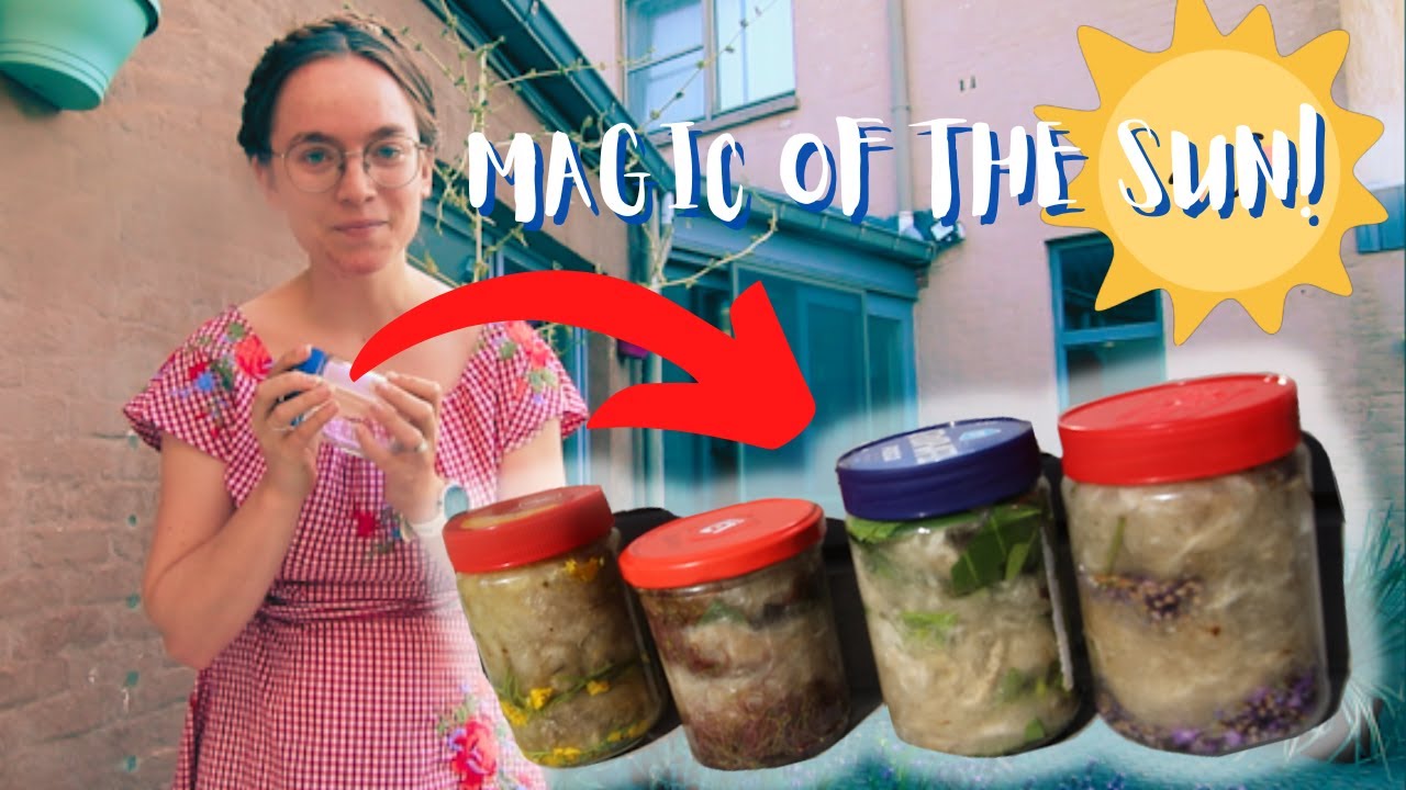 Let's Forage for some Solar Dyeing!