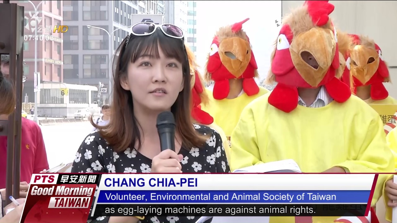 ANIMAL RIGHTS GROUPS PROTEST MCDONALD'S USE OF BATTERY CAGE EGGS 20170409 公視晨間新聞