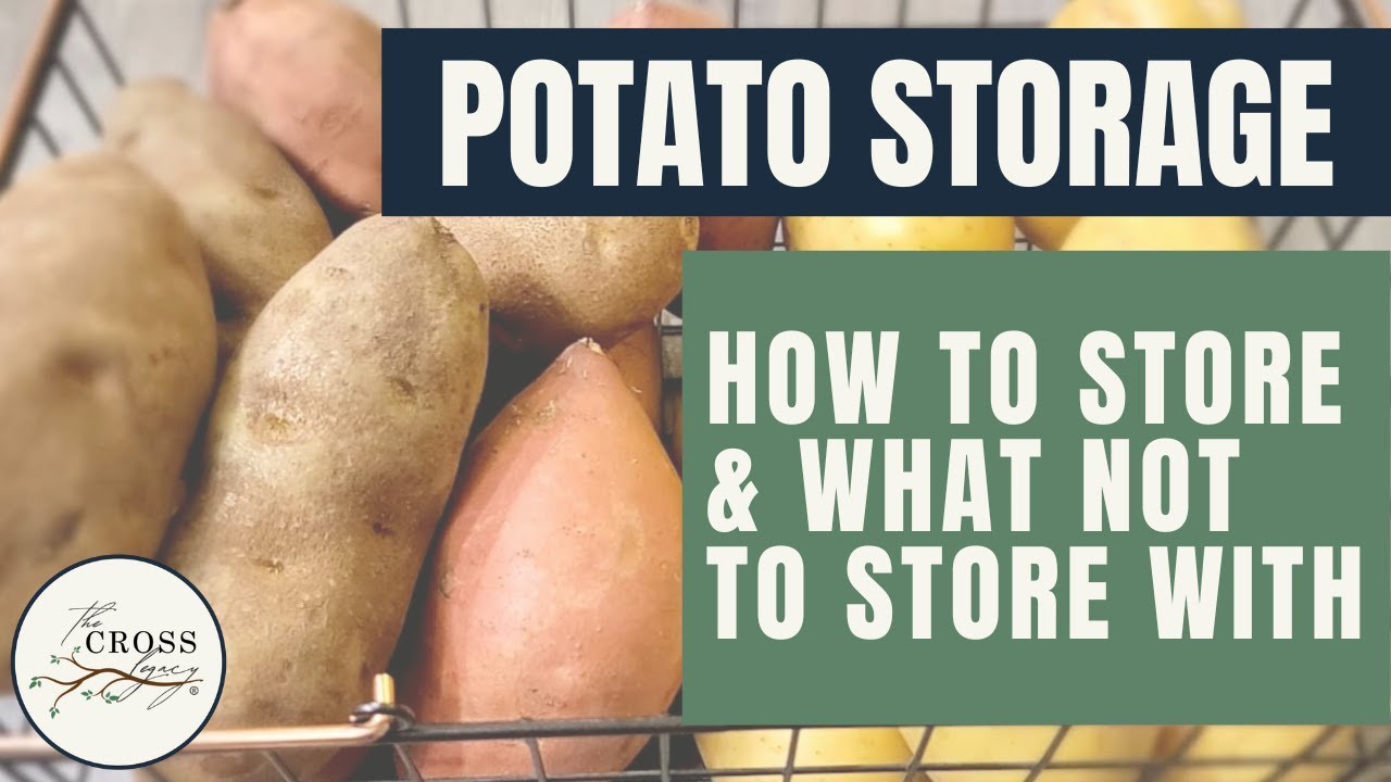How to Store Potatoes  |  Don&rsquo;t Store Potatoes With Onions