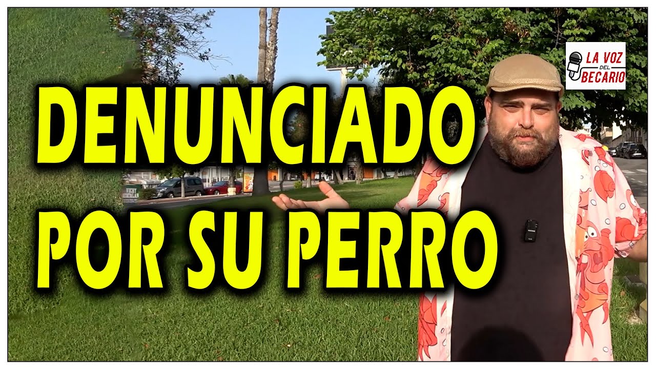 Mi perro me ha denunciado por lanzarle pelotas imaginarias