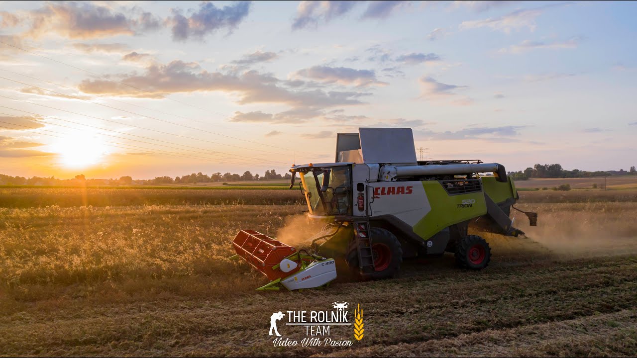 Żniwa 2023! | Claas Trion 520 | 2x John Deere