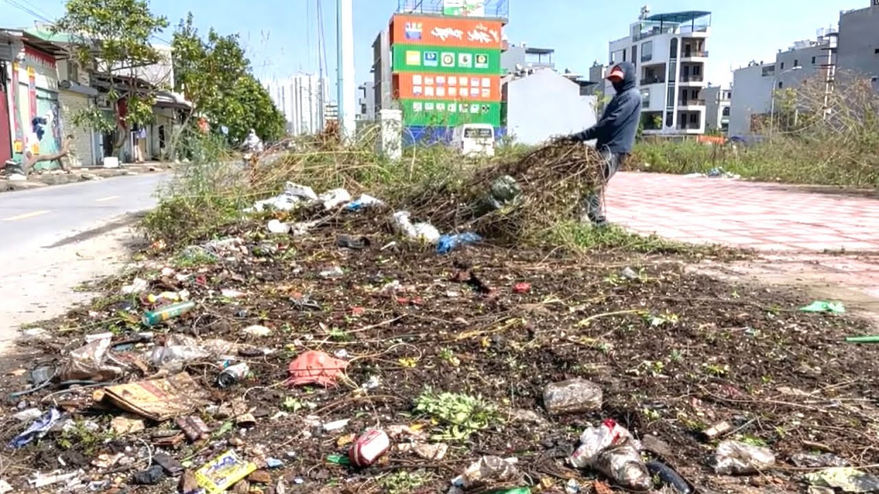 😱 We Were Shocked by This Rotting, Slimy Sidewalk Disaster — Full Cleanup Transformation.
