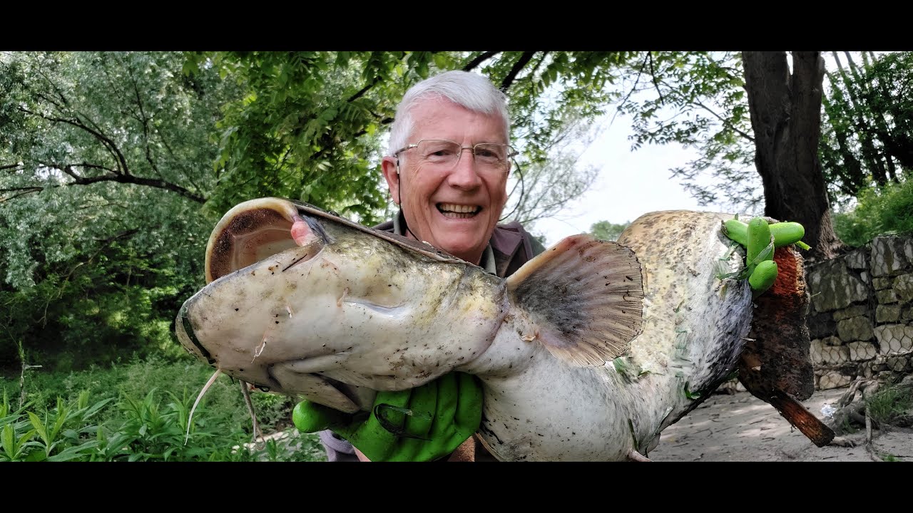 PESCA AL SILURO CON LA BOA.