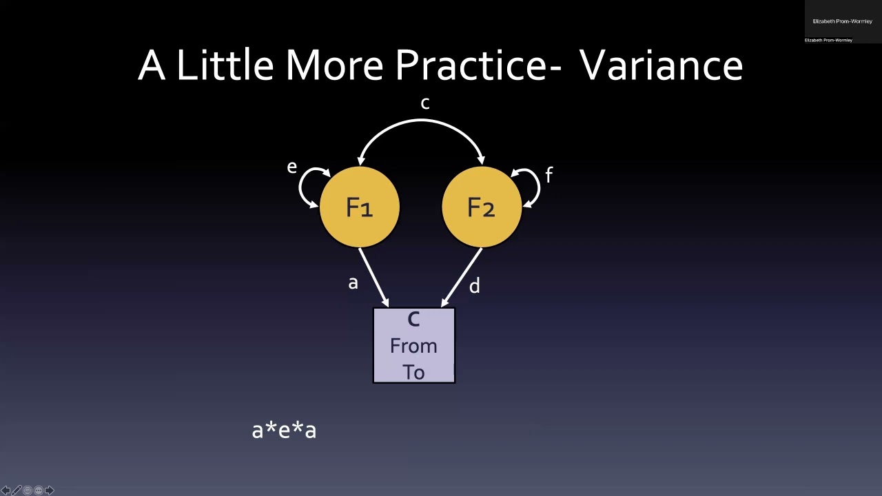 Introduction to Path Analysis and twin SEM models