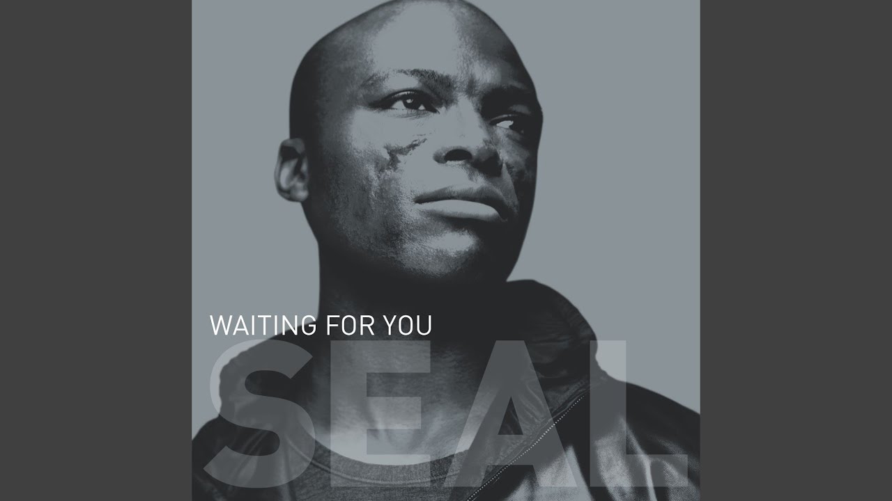 Waiting for You (The Passengerz Remix)