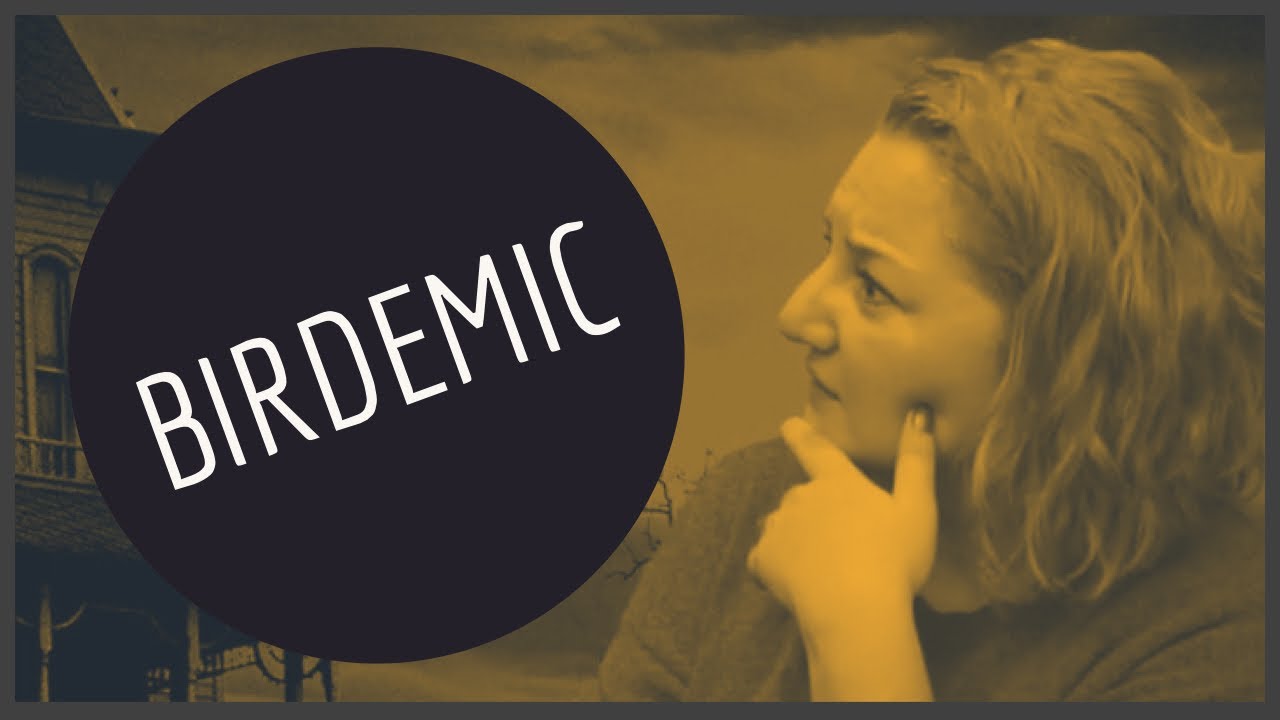 BIRDEMIC - Film Türünün DİP Örneği - #6Altı
