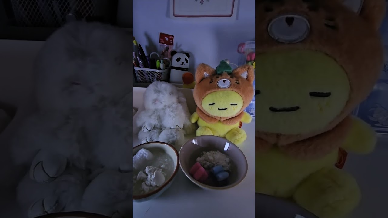 좀비 🧟‍♀️ 바이러스가 퍼진날 ㅠㅠ