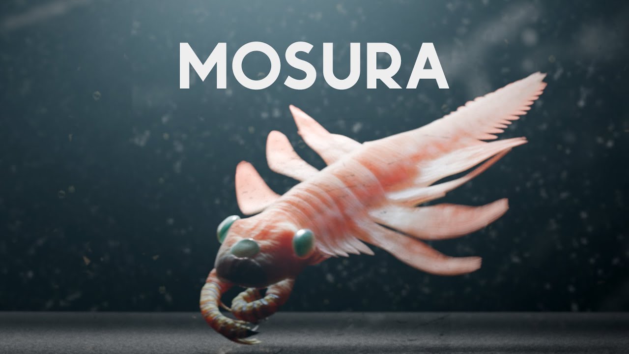 Мотра Радиодонт