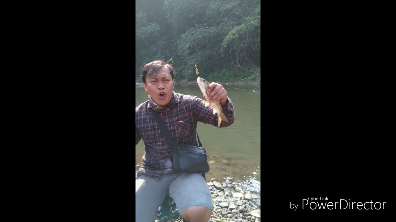 Casting hamapala ciliwung
