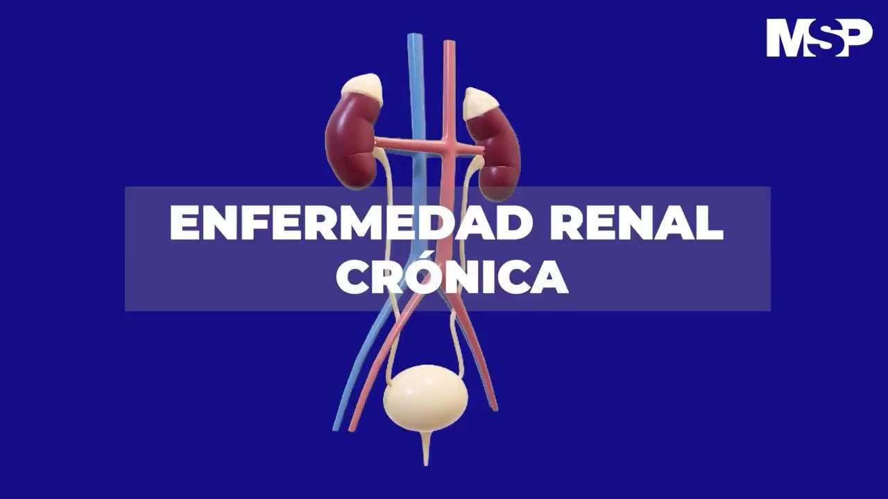 Enfermedad renal cr&oacute;nica