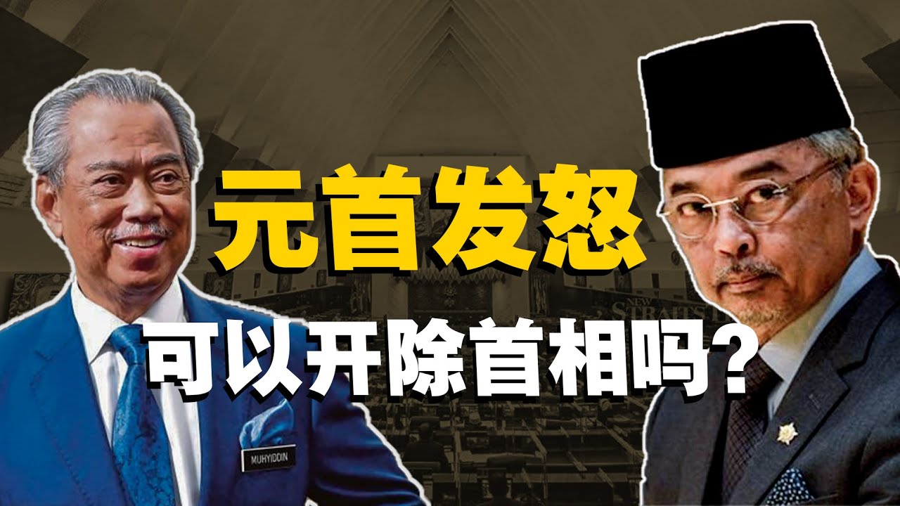学学反对党怎么反驳，真的很优秀！｜慕尤丁惹怒元首会被开除吗？