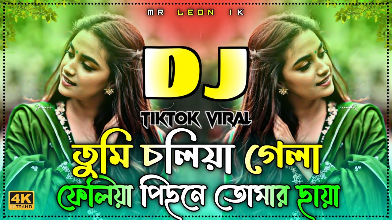 তুমি চলিয়া গেলা | Tumi Choliya Gela dj | Gan 2026 | Dj Song New Dj Song | tiktok viral | Picnic Dj