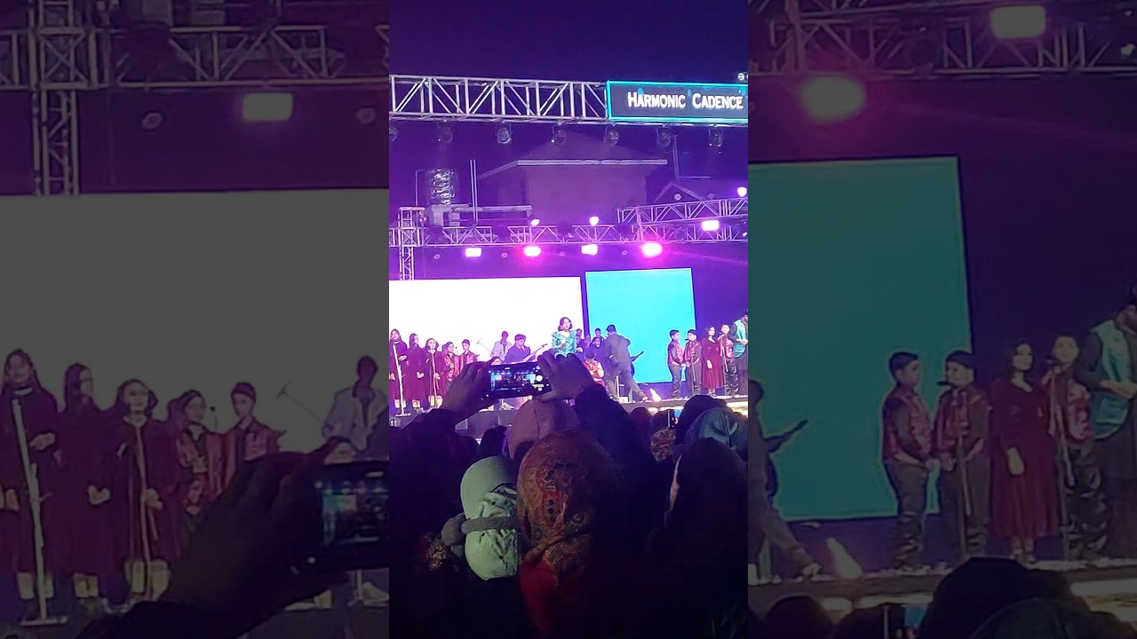 #chrysalis2025 #dpsjokachrysalis2025 #harmoniccandenceanddrumsanddiversity