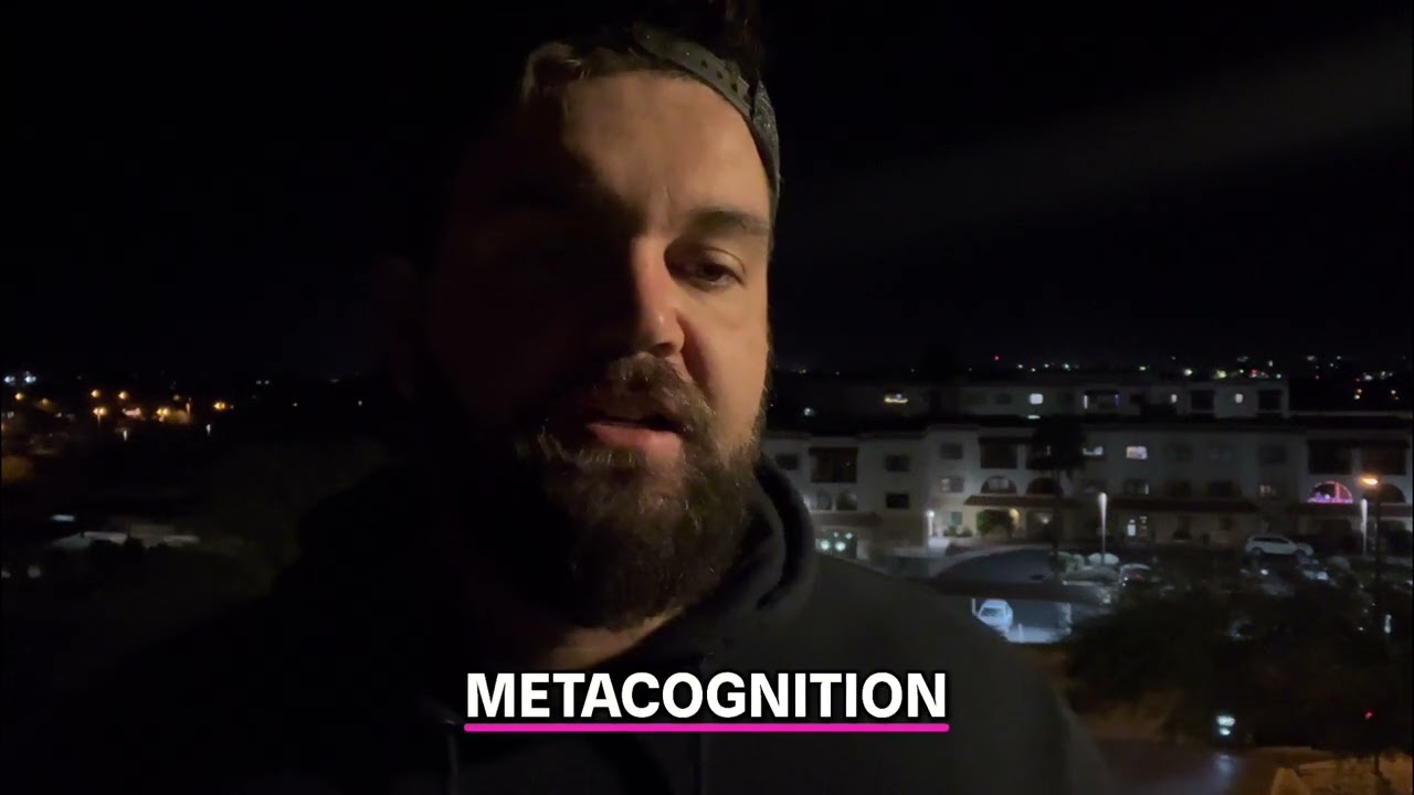 Future Work: Metacognition and Metaphysics 