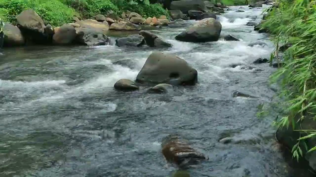 ASMR River Flow and Bird Sounds for Insomnia Relief, Fast Sleep and Deep Night Relaxation