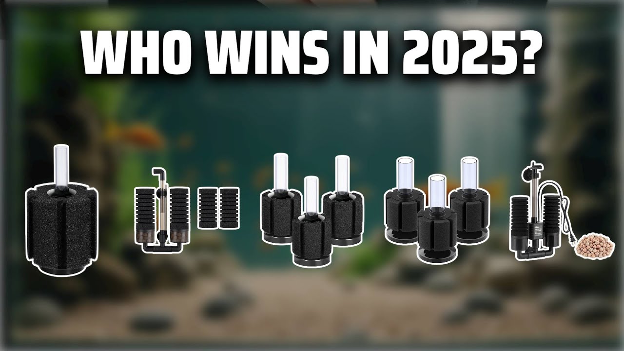 Топ-5 лучших фильтров-губок 2025 года — обязательно к просмотру перед покупкой!