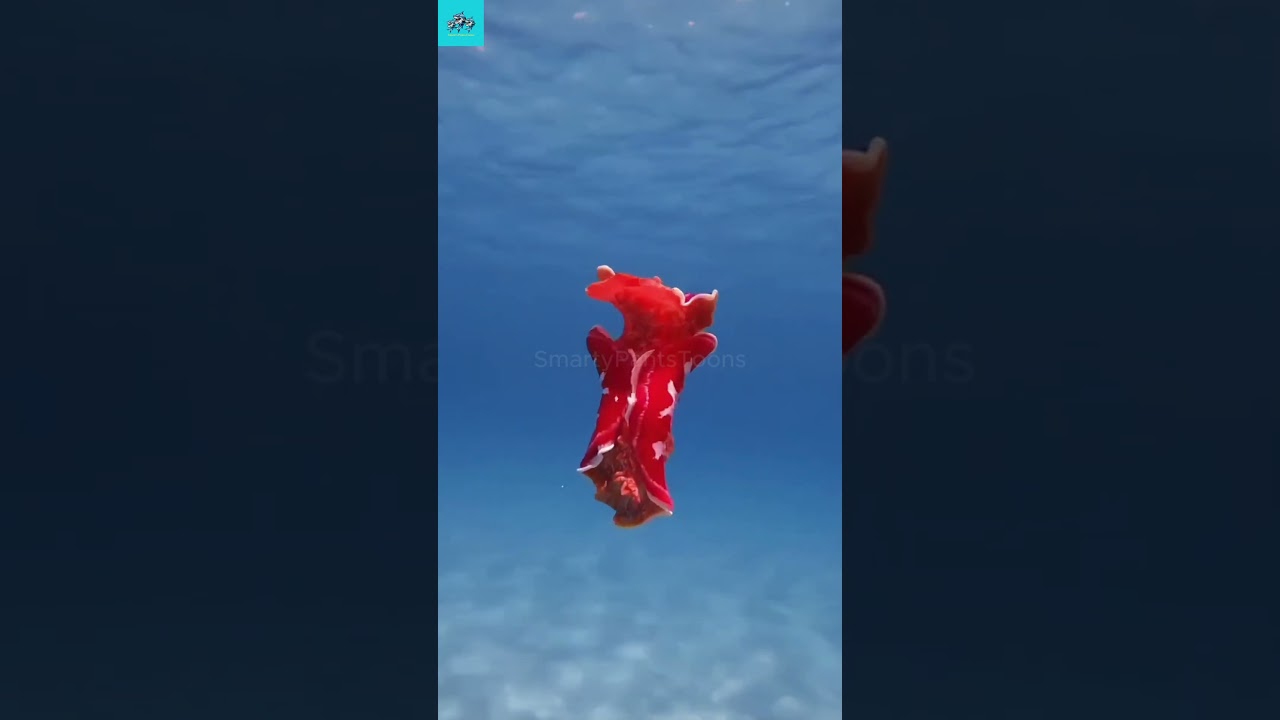 a bizarre discovery in the deep sea 