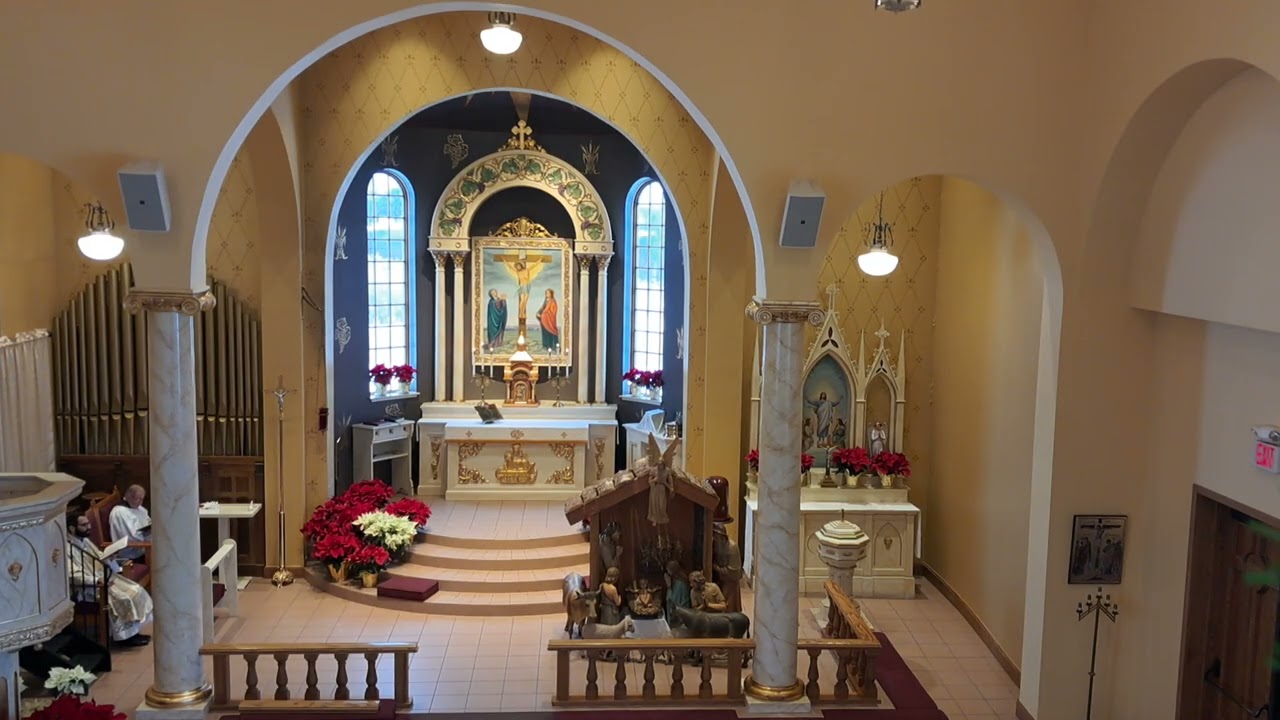LSB 517 By All Your Saints in Warfare (Confession of St. Peter)