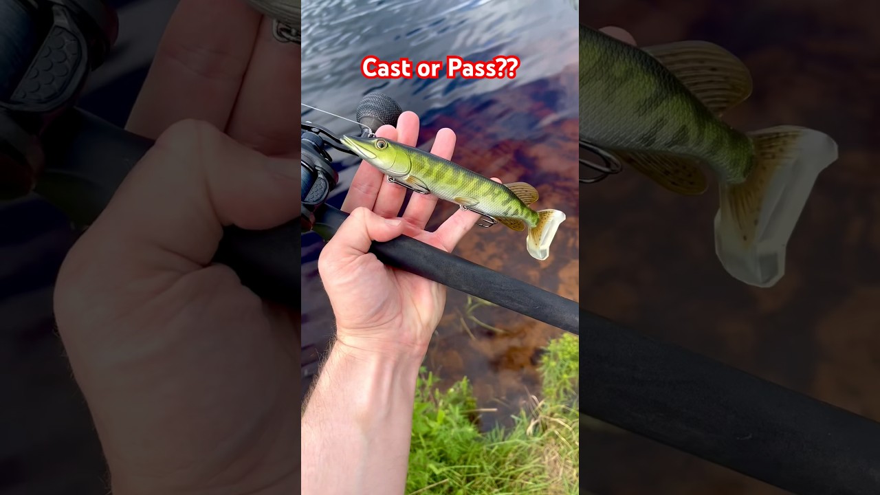 WILDLY REALISTIC PIKE LURE!!
