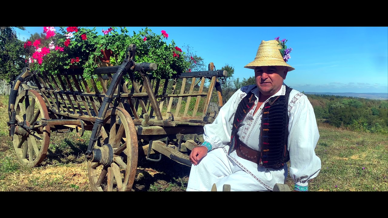 CORNEL BORZA - Dă Doamne sa mor cântand