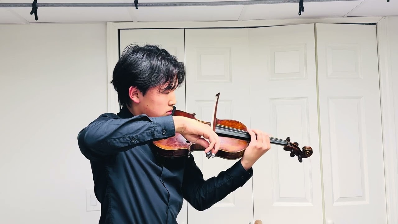 Tchaikovsky: Violin Concerto 1st mvmt excerpt