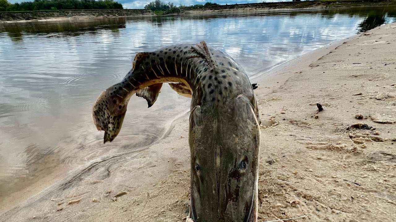 Pesca en “el POZO del SURUBI” un lugar increíble, Tarariras,Bagres,Dorados y Naturaleza