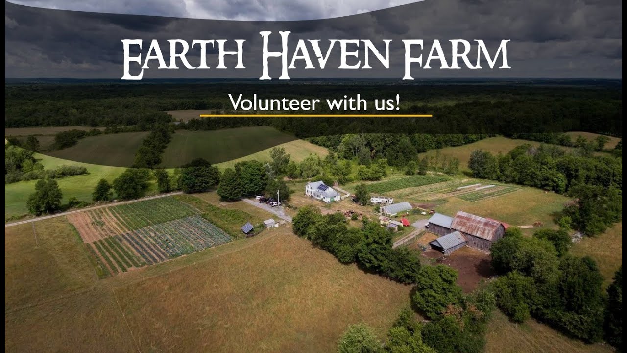 Experience working at Earth Haven Farm
