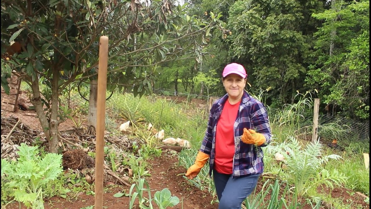 LIMPEZA DA HORTA E PLANTANDO ASPARGOS