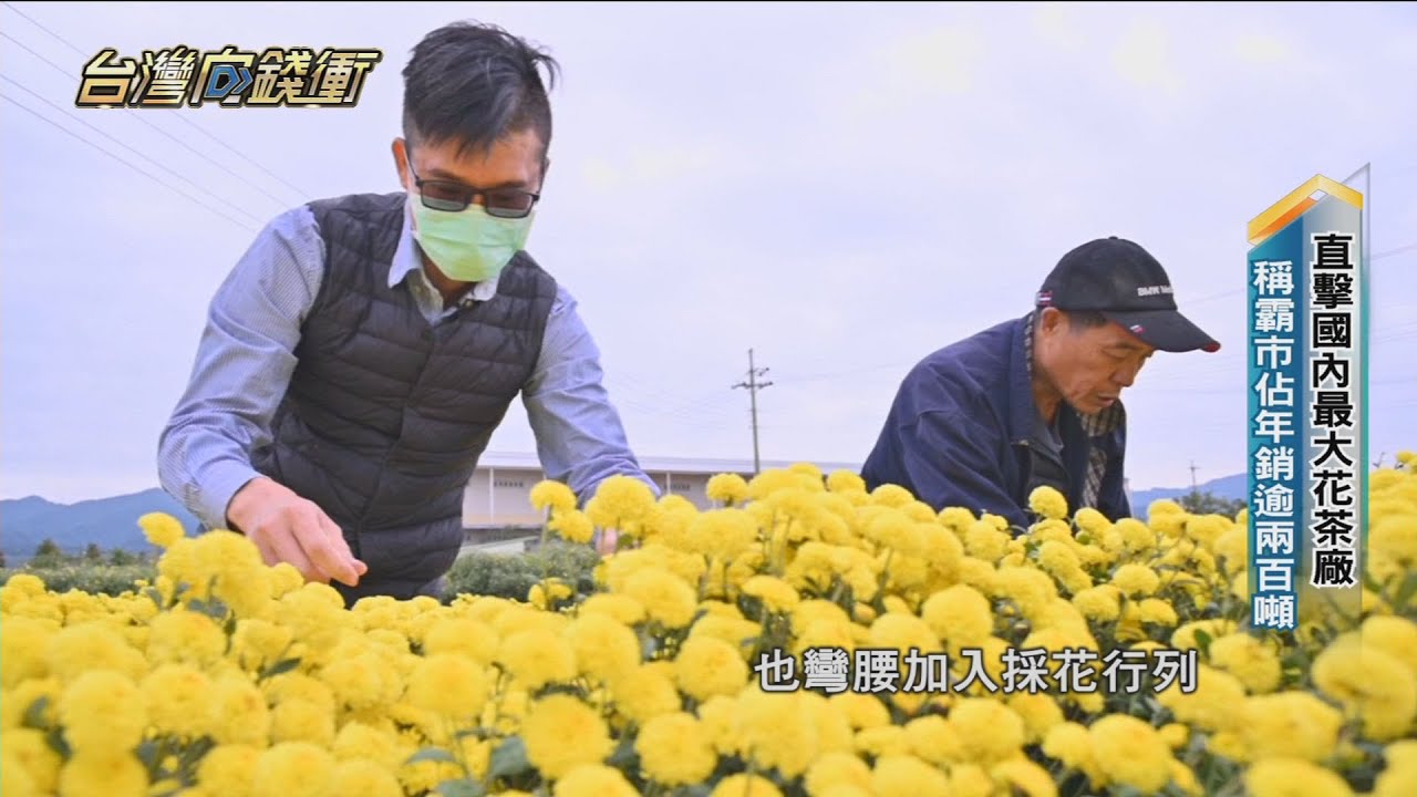 直擊國內最大花茶廠 稱霸市佔年銷逾兩百噸20220101【台灣向錢衝】PART2
