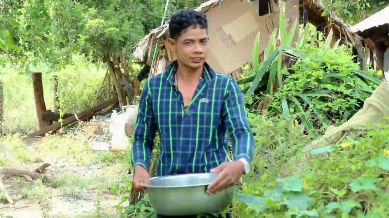 ចៀនស្អំកំពឹស