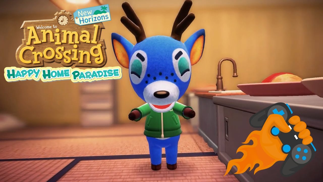 My Cooking Life | Bam | Animal Crossing: Happy Home Paradise