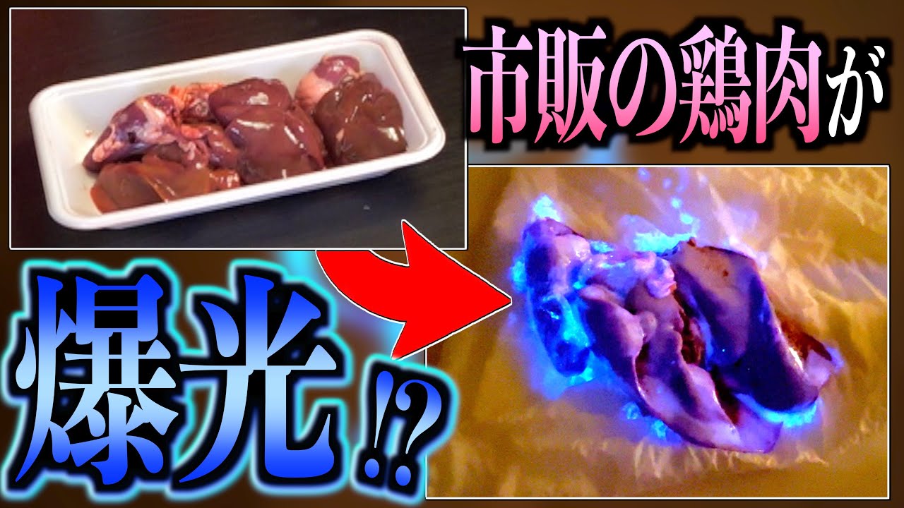今日からFBI！お家でルミノール反応やってみた！