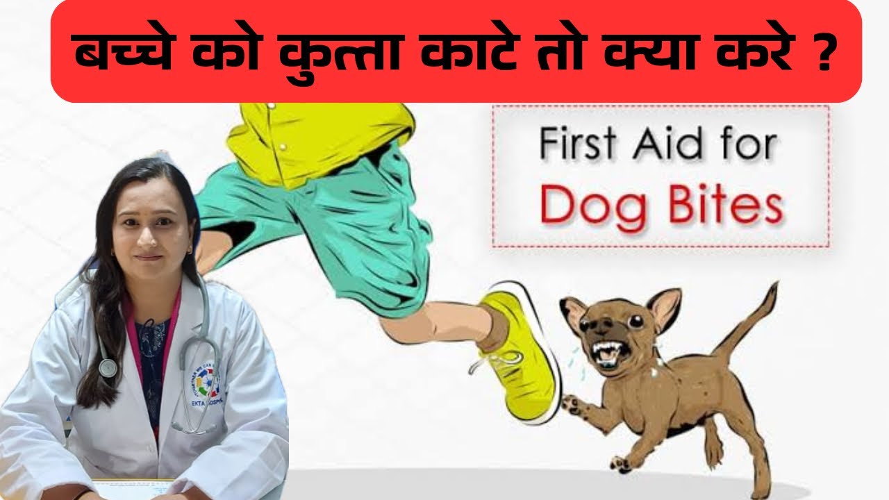 बच्चे को कुत्ता काटे तो क्या बातें ध्यान में रखनी चाहिए?First Aid For Dog Bites In Kids | Dr Rashmi