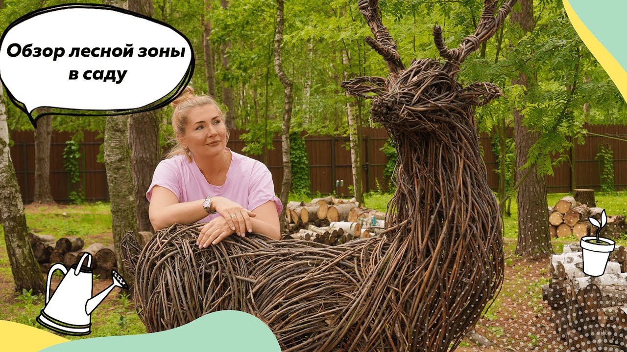Сад в лесной зоне | Сад в тени | Что посадить в тени? | Растения для тени | Теневыносливые растения