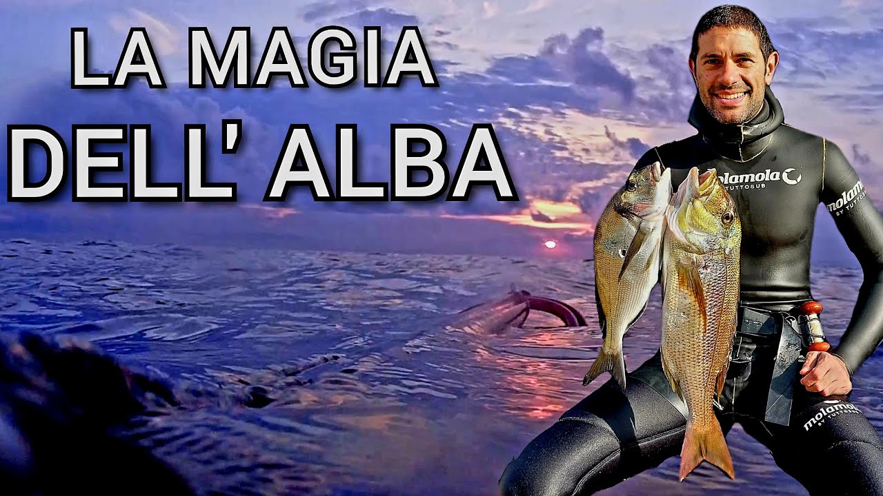 Pescasub: LA MAGIA DELL' ALBA - Spearfishing - AKASO