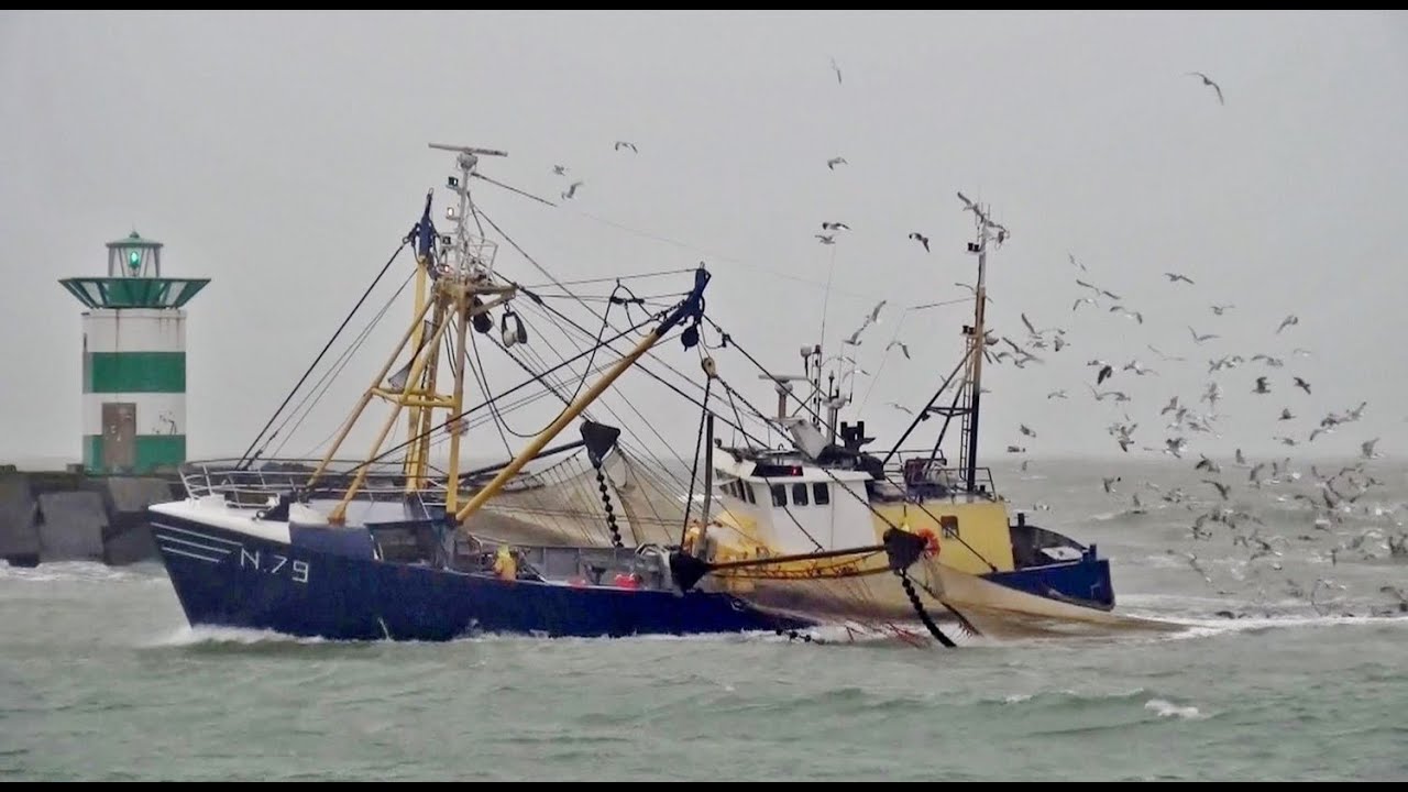 N 79 WARRIOR IN EN UITVAREND SCHEVENINGSEHAVEN 10 11 2015