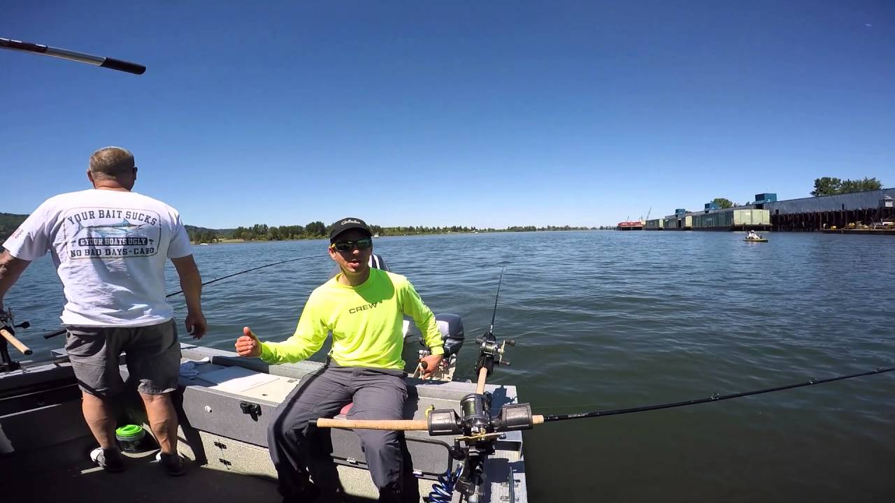 Spring Chinook Salmon Fishing on the Willamette River May 1, 2016.  Who brought the Banana?
